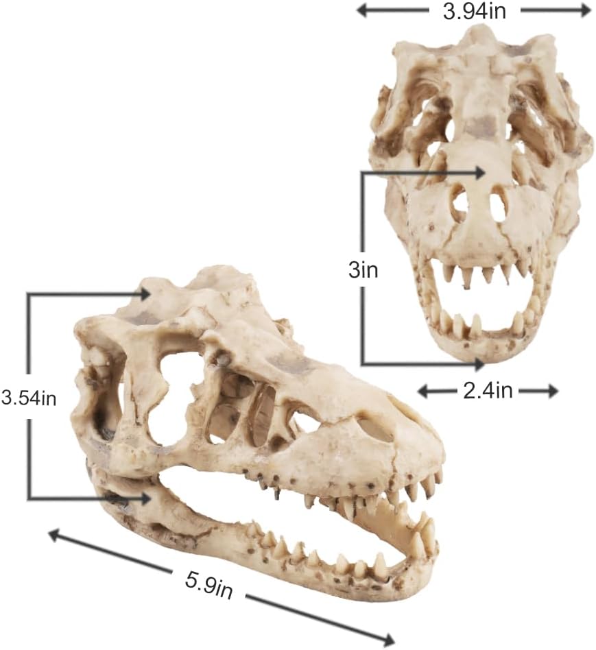 Dinosaur Skull Aquarium Décor - Fish Tank Decoration Hideaway for Fish,Natural Look, 6.3"x4"x4" - Fun Underwater Environment! (6.3")