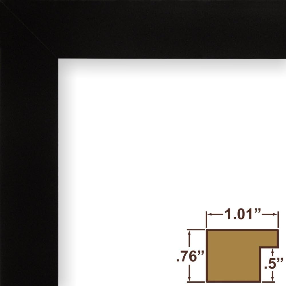 wallsthatspeak Elements 24x36 Picture Frame, Wall Hanging Black Poster Frame Displays Vertically or Horizontally, Includes Durable Plexiglass, Set of 4