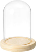 PATIKIL 4.7"x3.1" Clear Cloche Glass Dome, Glass Bell Jar Display Case Tabletop Centerpiece with Wooden Base for Plants Home Decor