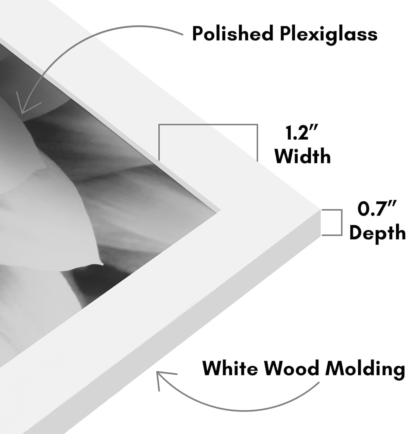 Americanflat 20x28 Picture Frame with Polished Plexiglass - White Picture Frame - Wide Photo Frames Made of Engineered Wood for Vertical or Horizontal Wall Display - Epic Collection - White