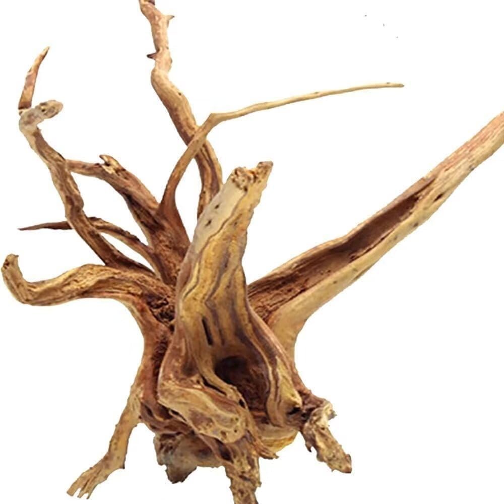 Natural Large Spiderwood Driftwood for Aquarium Decor Rptile Fish Tank Decoration Assort Branch 13-16'' Pack of 1