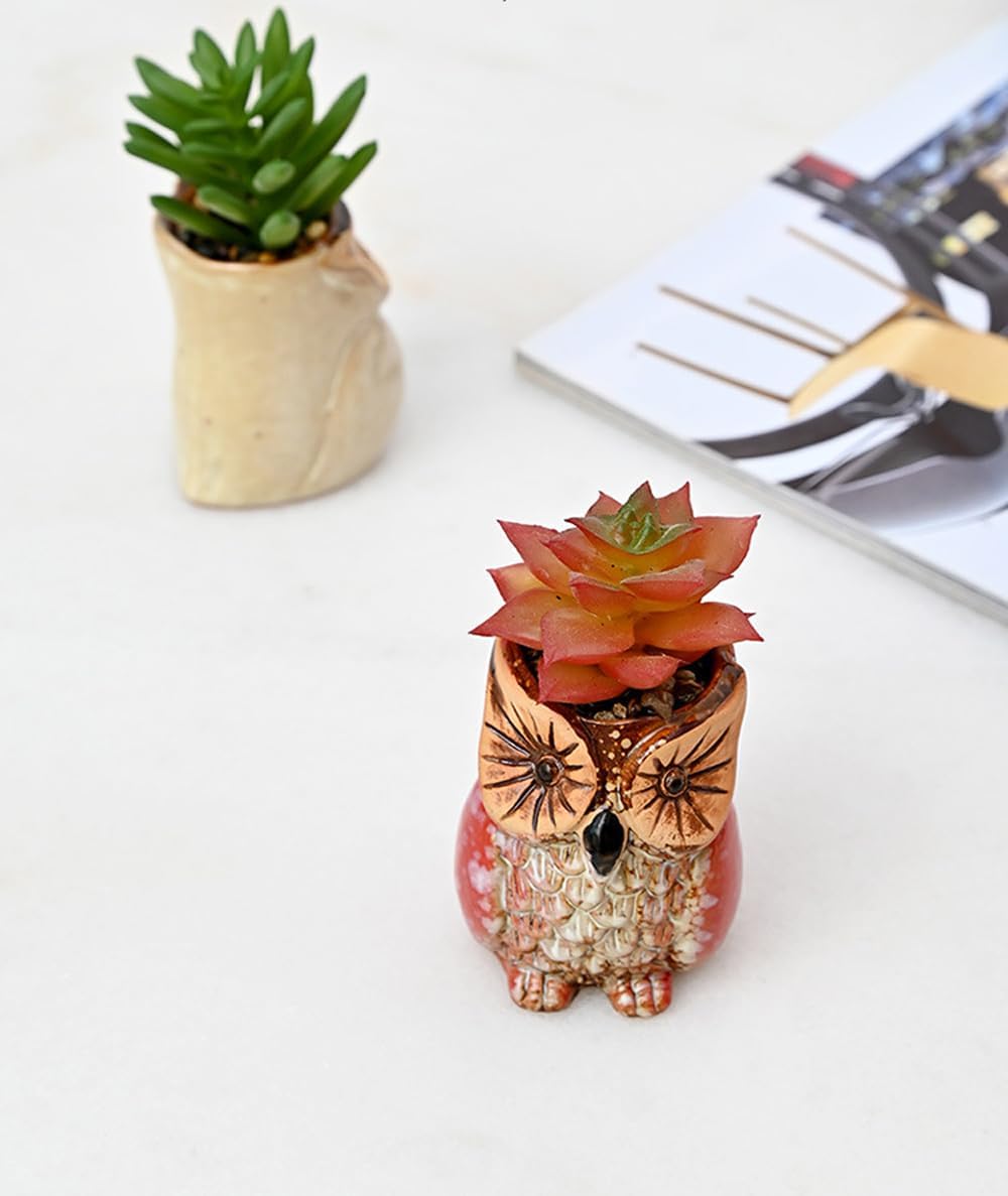 6 Pcs Mini 2.5 Inches Colorful Owl Pots, Little Ceramic Succulent Owl Planters with Drainage Holes