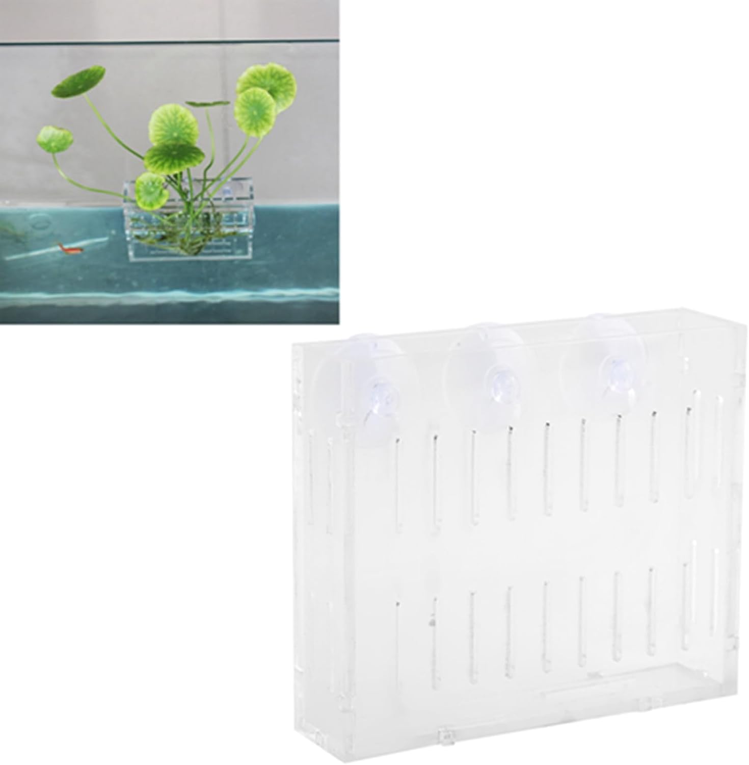 Aquarium Plant Holder, Fish Tank Plant Holder Cup, Acrylic Planter Grass Container with Suction Cups for Water Feature Decoration