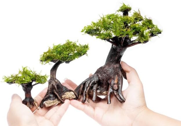 SubstrateSource Live Planted Decor - Moss on Bonsai (Aquascaping Tree) - Low to Moderate Light, Bright Green Freshwater Accent for Aquatic Layouts, Midground Placement Centerpiece - Medium, 1 Pack