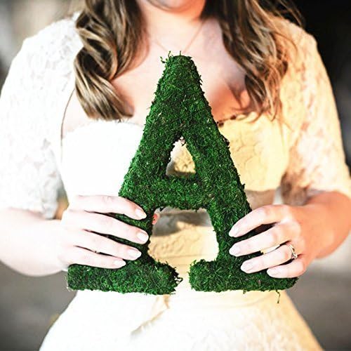 BYHER Roll of Green Moss for Fairy Gardens Wedding Other Arts and Crafts (10x120cm (4" W x 48" L))
