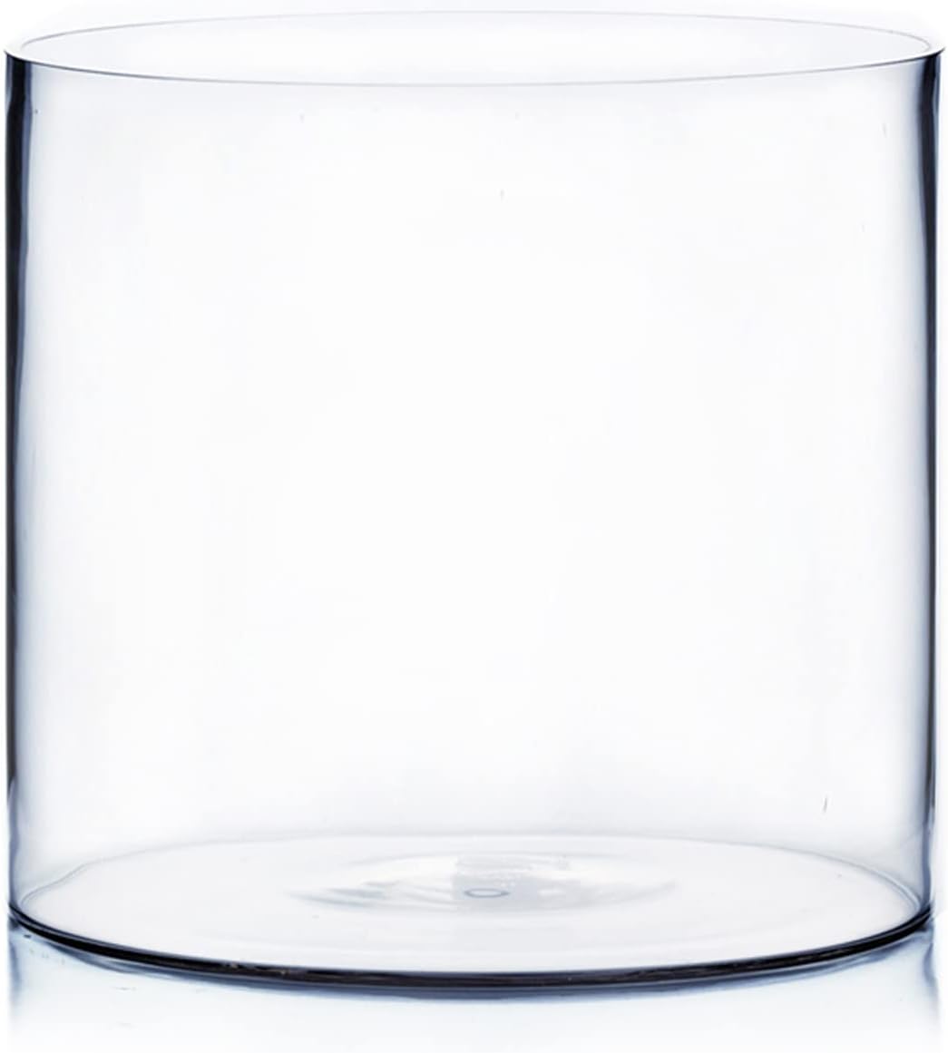 WGV Cylinder Vase, Width 10", Height 10", Clear Wide Large Diameter Flower Glassware, Floral Container, Planter Terrarium for Wedding Party Event, Home Accent Decor, 1 Piece
