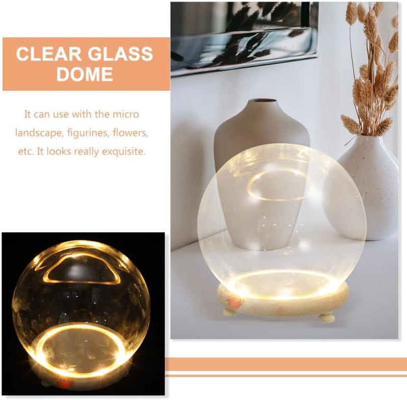 EXCEART Clear Glass Cloche Globe Display Dome Bell Jar with Wooden Base Terrarium Keepsake Display Globe with Light for Plants Succulents 13X13cm