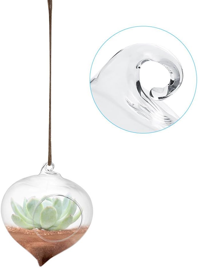 Wall Hanging Planter Terrarium Container, Teardrop Shaped Air Plant Holder, Succulents Hanging Glass Globes Oblate Flower Vase for Hydroponics Plants