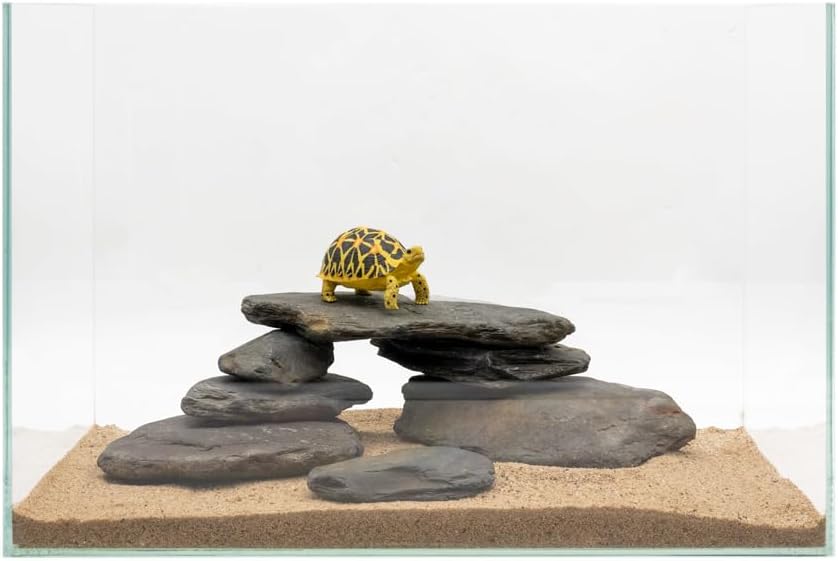 Aquarium Stone Natural Slate Stream Turtle Tank Rocks 3-7 inches Fish Rock for Aquarium Aquascaping Shrimp Tanks Amphibian Enclosures Paludarium-5lb