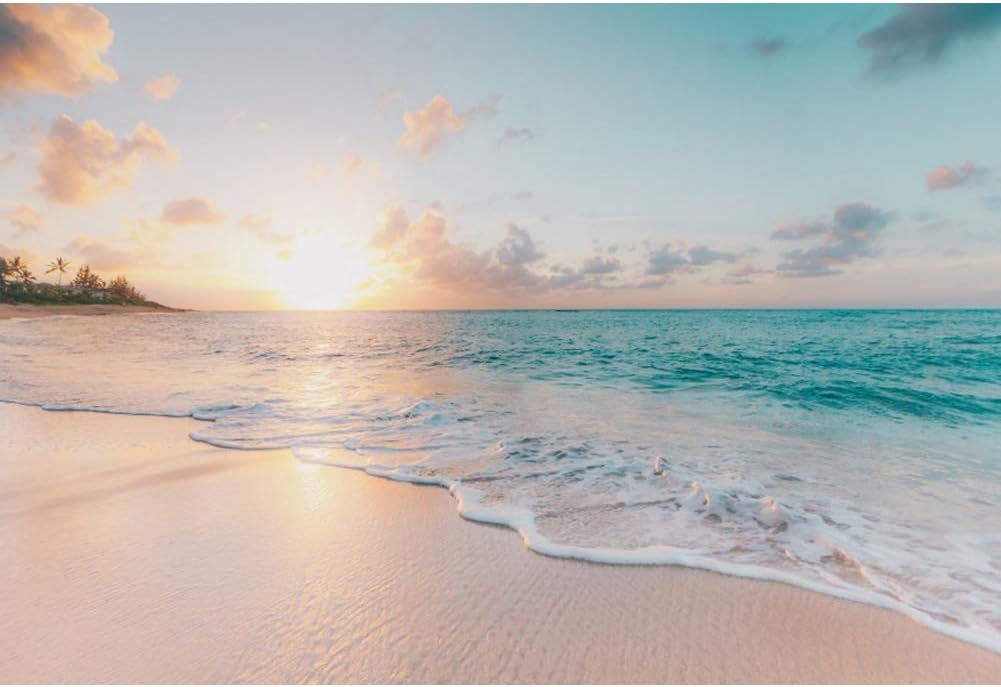 Leowefowa 5x3ft Sea Beach Backdrop Seaside Beach Sunrise Sea Wave Outdoor Scenery Wedding Photography Backdrops for Photo Shoots Party Adult Personal Portrait Photo Background Studio Props