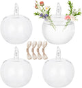 4pcs Glass Hanging Planter Air Fern Holder Hanging Hydroponic Vases with Jute Rope Terrarium Plants Hanger Vase Succulent Planter Terrariums for Moss Air Plants Christmas Decor (Apple)