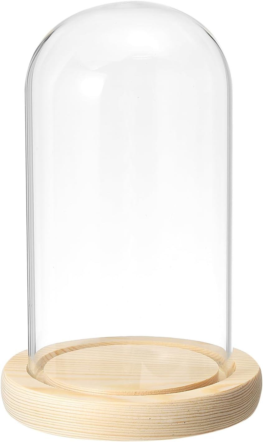 PATIKIL 5.9"x3.1" Clear Cloche Glass Dome, Glass Bell Jar Display Case Tabletop Centerpiece with Wooden Base for Plants Home Decor