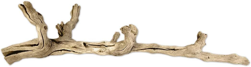 Koyal Wholesale 18" Natural Grapevine, Sandblasted Reptile Wood Branches, Terrarium Grapewood, Reptile Branch, Grapewood Branch, Grapevine Wood for Wedding Centerpieces, Branch Decor
