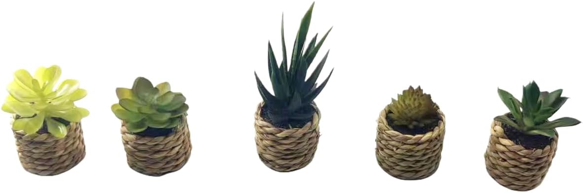 Faux Succulent Plants in Pot, Realistic Resin Clay Mini Succulent Arrangement, Office Desk Decor Stress Relief Prop, Photography Background for Home Cafe (Set of 5)