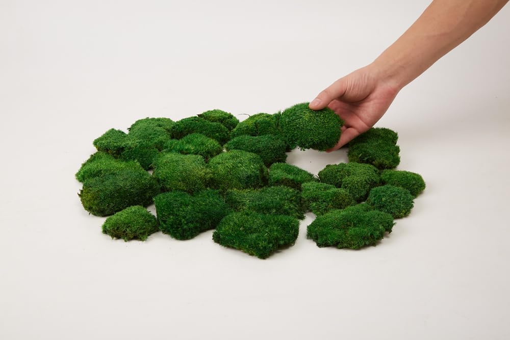 Preserved Pole Moss Pillow Bun Cushion Natural Green Decorative Real Natural DIY Kit Gardenning Art Wall Decor Florist Easter Table Decor Wedding(1.5 sq.ft, Green-C)