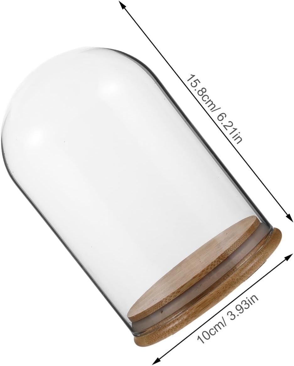 Dome Cloche With Rustic Wooden Base - Glass Cloche Bell Jar Display For Plants Fairy Lights Or Table Decor Collectibles Terrarium