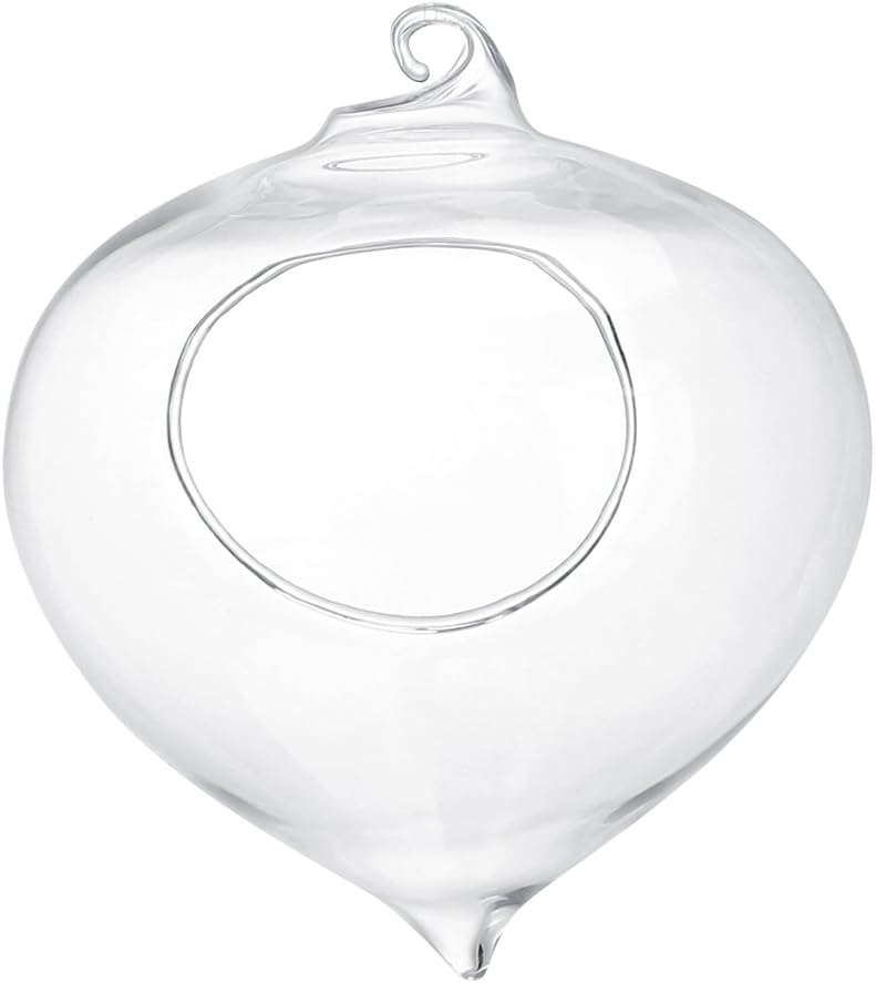 Wall Hanging Planter Terrarium Container, Teardrop Shaped Air Plant Holder, Succulents Hanging Glass Globes Oblate Flower Vase for Hydroponics Plants