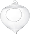 Wall Hanging Planter Terrarium Container, Teardrop Shaped Air Plant Holder, Succulents Hanging Glass Globes Oblate Flower Vase for Hydroponics Plants