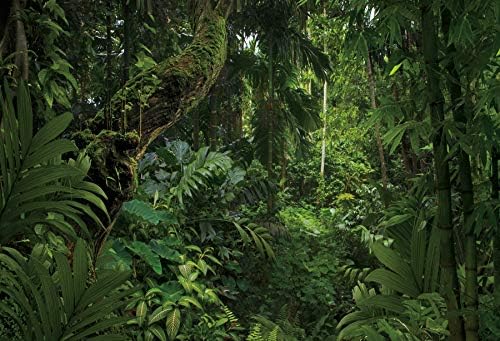 9x6ft Jungle Forest Photography Backdrop for Outdoorsy Camping Theme Party Background Spring Mysterious Rainforest Jungle Forest Tree Natural Scenery Kids Adult Wedding Photo Studio Props