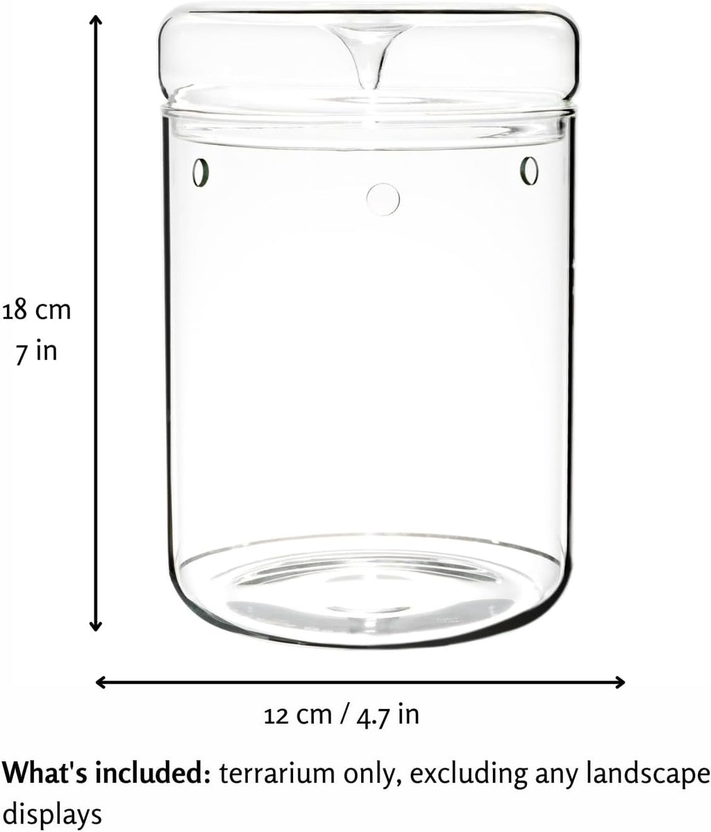 Small Glass Terrarium Jar with Lid – 4.7 x 7 Inch Closed Plant Terrarium for Succulents, Moss, Venus Fly Trap & Self-Sustaining Ecosystems – Ideal Indoor Decor for Home & Tabletop
