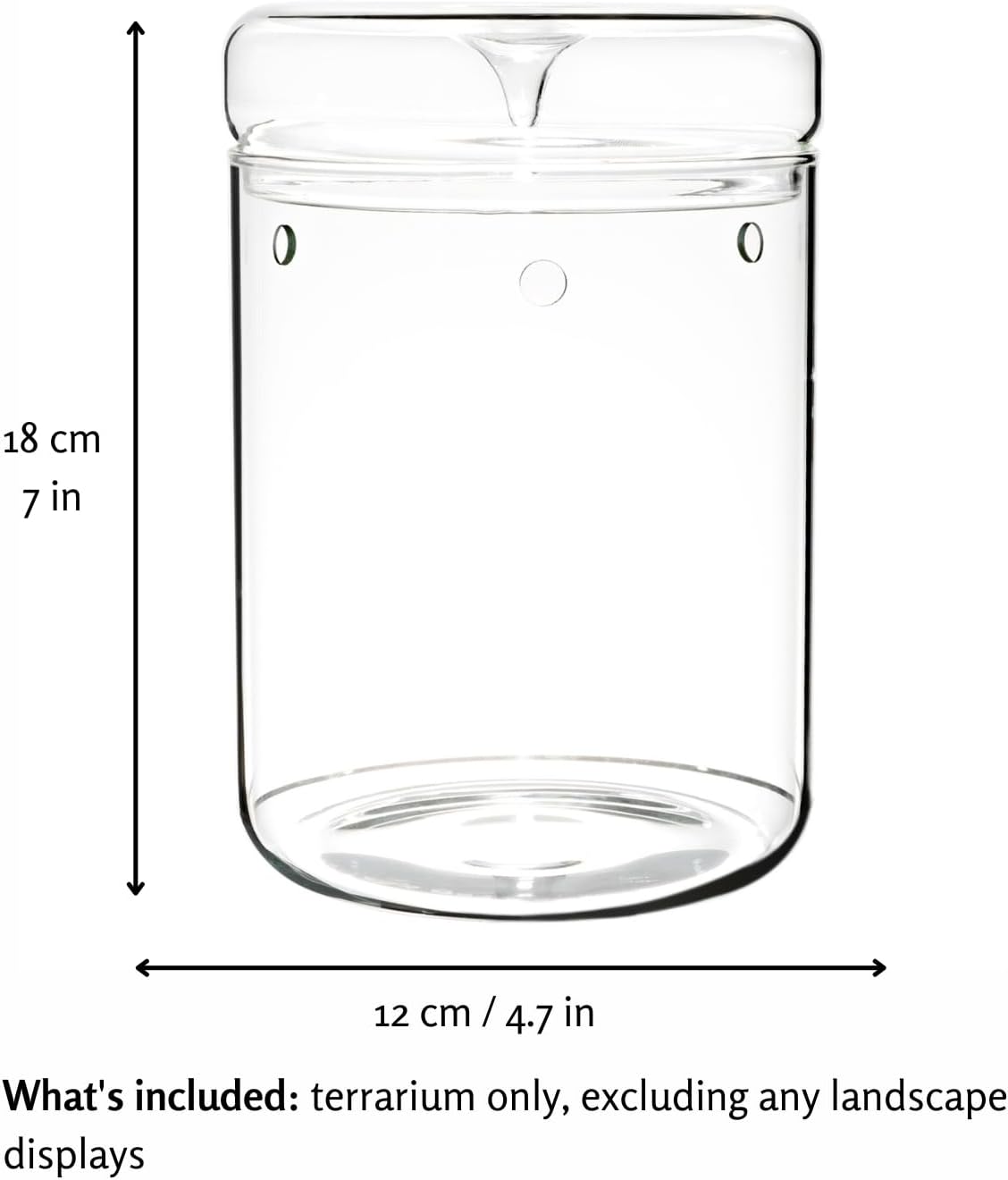 Small Glass Terrarium Jar with Lid – 4.7 x 7 Inch Closed Plant Terrarium for Succulents, Moss, Venus Fly Trap & Self-Sustaining Ecosystems – Ideal Indoor Decor for Home & Tabletop