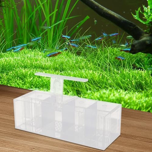 Acrylic Aquarium Transparent Fish Tank, Small Fish Tank with LED, Betta Fish Tank with 4 Grids, Dual Glass Desktop Mini DIY Aquarium, Multiple Betta Fish Tank for Table Furniture Decoration