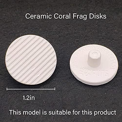 13 Plug Holes Coral Frag Rack Clear Acrylic Holder for Aquarium Fish Tank - Button Reef Broken Frame With Enhanced Suction Cup (2 Pack)