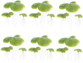 18pcs Artificial Duckweed Floating Aquarium Plants Plastic Fish Tank Decor for Freshwater Tanks Providing Shade and Natural Landscape Effect