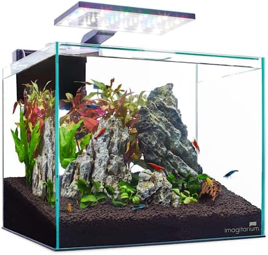 imagitarium Glass Shrimp & Aquatic Plants Aquarium 5 Gallons