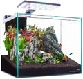 imagitarium Glass Shrimp & Aquatic Plants Aquarium 5 Gallons