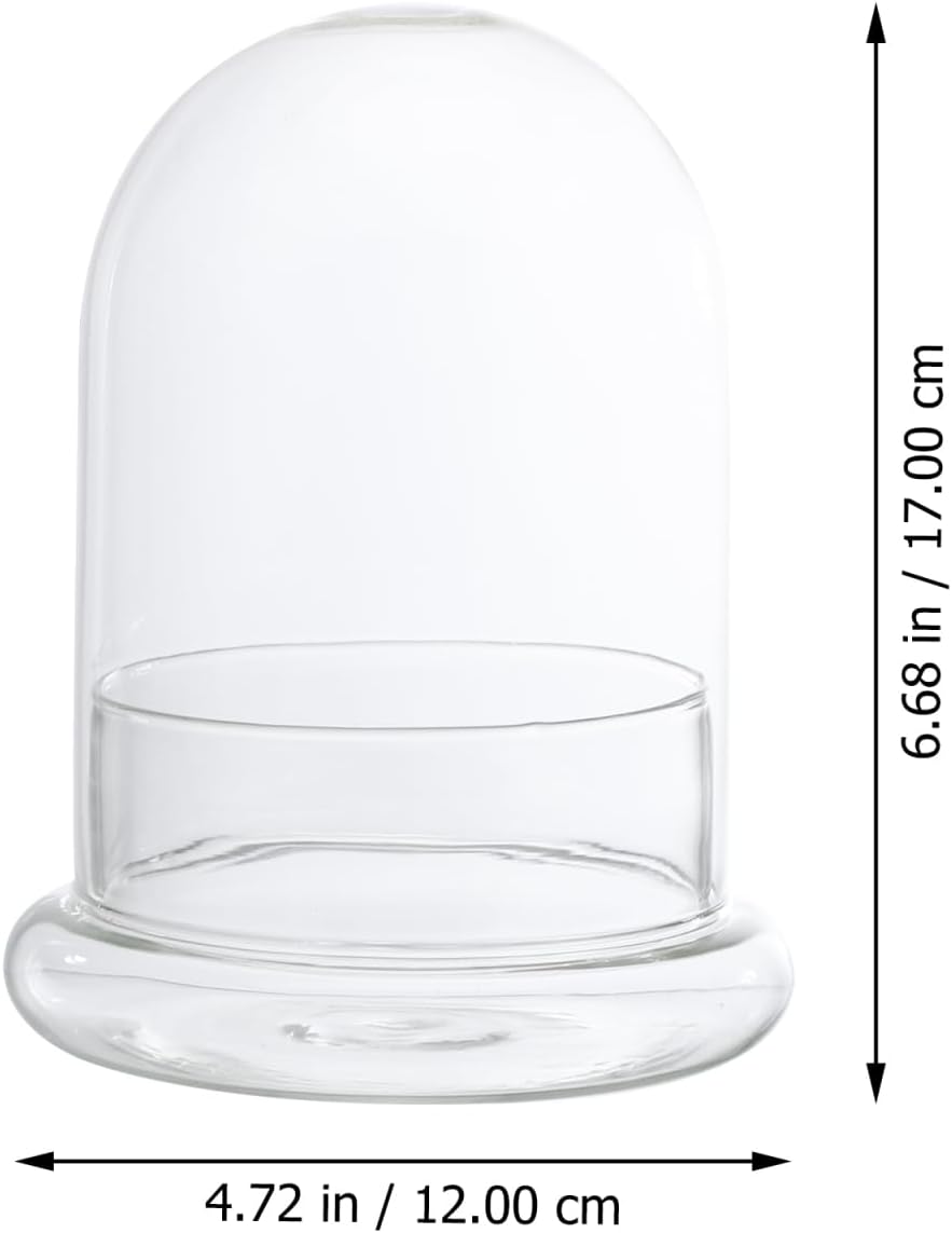 Hemoton Glass Display Dome,Clear Glass Dome for Micro Landscape DIY,Clear Cloche Bell Jar Terrarium Display Bottle,Decorative Case for Plants Succulents Fairy Lights Photos Medals