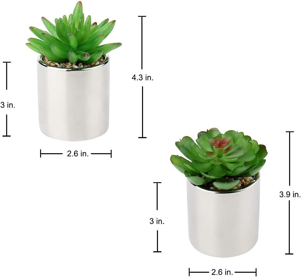 Briful Small Artificial Succulents in Pots Set of 2 Realistic Faux Succulents Plants with Silver Ceramic Pots Cute Mini Fake Plants Decor for Modern Home Table Office Desk Bathroom Shelf Decoration