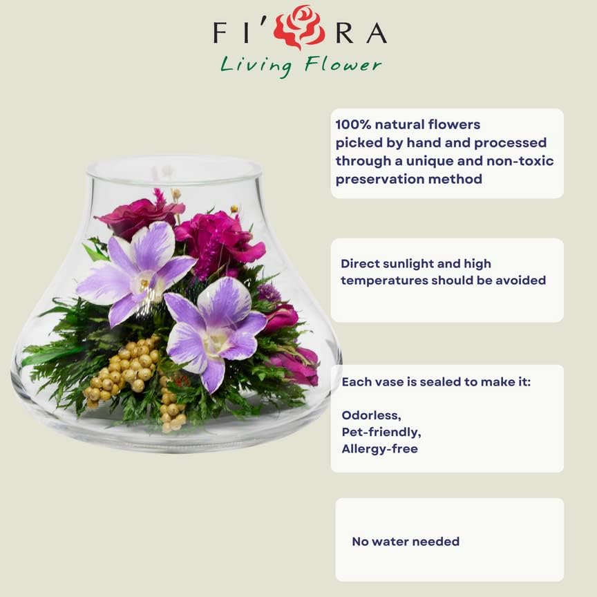 Luxury Orchid Arrangement | Preserved Orchids in Glass Vase | Long-Lasting Flowers for Anniversary, Wedding, or Corporate Gifts