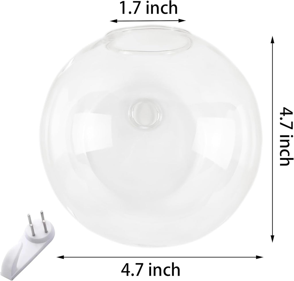 6 Pack Hanging Wall Vases, Glass Hainging Planter Propagation Station Terrarium, 4.7" Globe Wall Planters for Indoor Plants,Home Decor