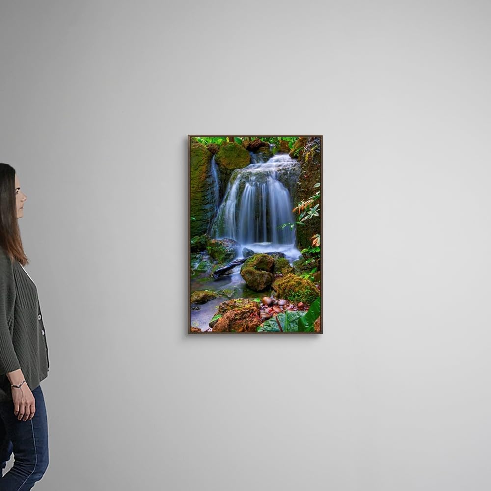 CANVAS ON DEMAND Waterfall in Tropical Rainforest of Fairchild Tropical Gardens, Walnut Float Framed Canvas Wall Art Print, Home Decor, Floral, Flowers, Nature Artwork, 24" x36in
