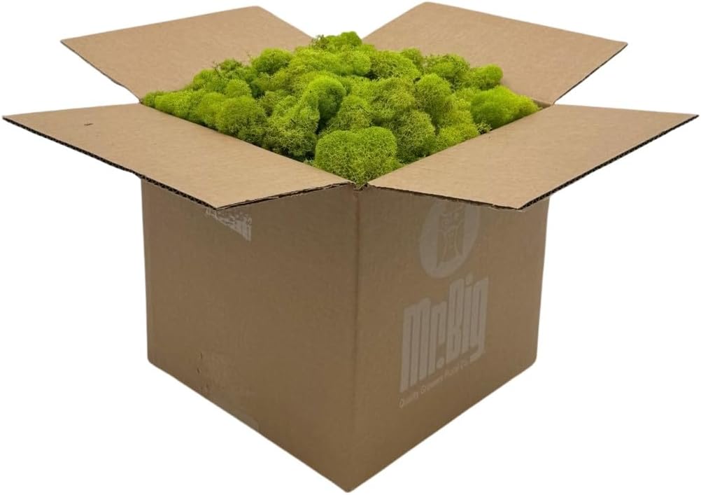Preserved Reindeer Moss - Premium Decorative Moss for Crafts, Home Décor, Art, Design & DIY Projects - Real Moss - Non-Toxic, USA-Made (Chartreuse, Box)