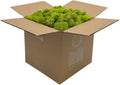 Preserved Reindeer Moss - Premium Decorative Moss for Crafts, Home Décor, Art, Design & DIY Projects - Real Moss - Non-Toxic, USA-Made (Chartreuse, Box)