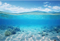 Renaiss 12x8ft Underwater Seascape Backdrop Blue Sky Sea Level Undersea Background Under The Sea Water Diving Mermaid Party Banner Sunlight Corals Seabed Fish Tank Aquarium Decor Photo Booth Props