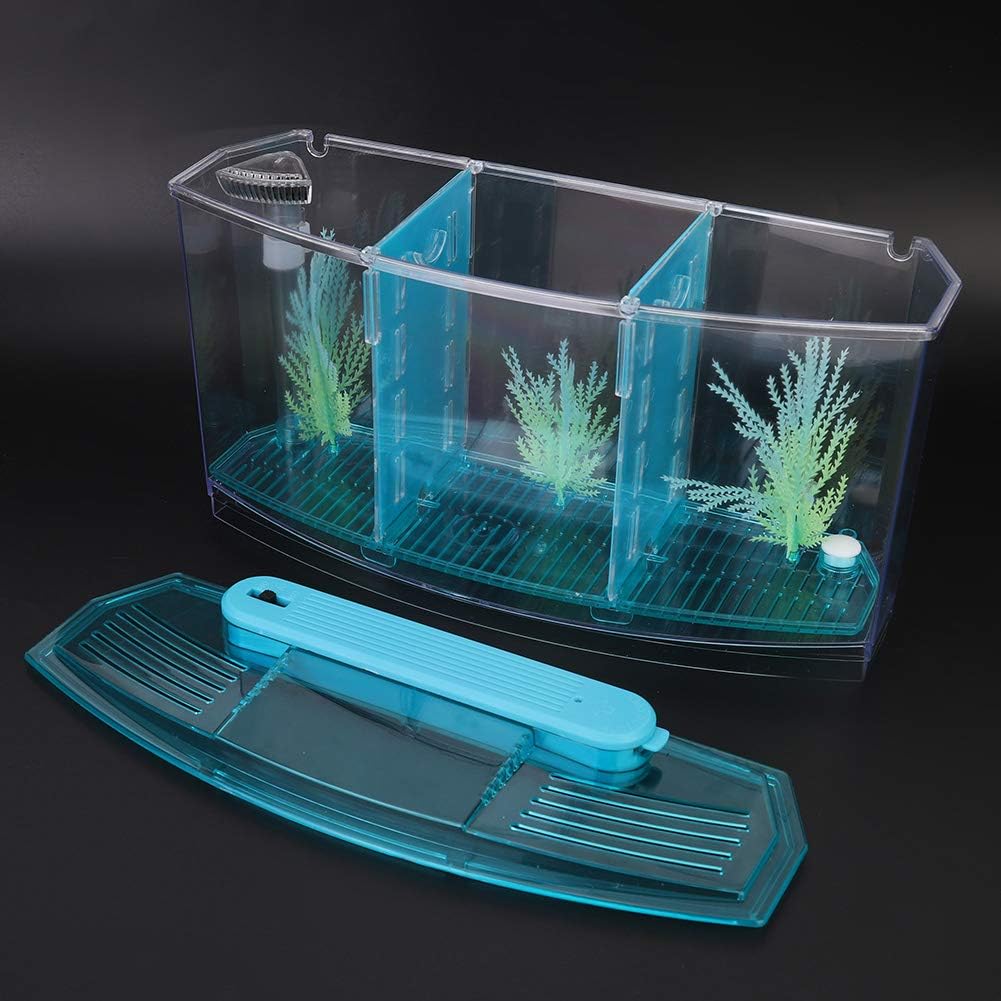 Small Fish Isolation Fish Tank, LED Acrylic Aquarium Fish Tank, Transparent Fish Isolation Box with 2 Isolation Plates for Small Fishes Betta Shrimp Guppy (Blue)