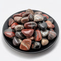Petrified Wood Healing Crystal Stone Set - 24 Pieces, 0.6" Natural & Polished Stones for Healing, Meditation, Reiki, Chakra, Crafting & Decoration