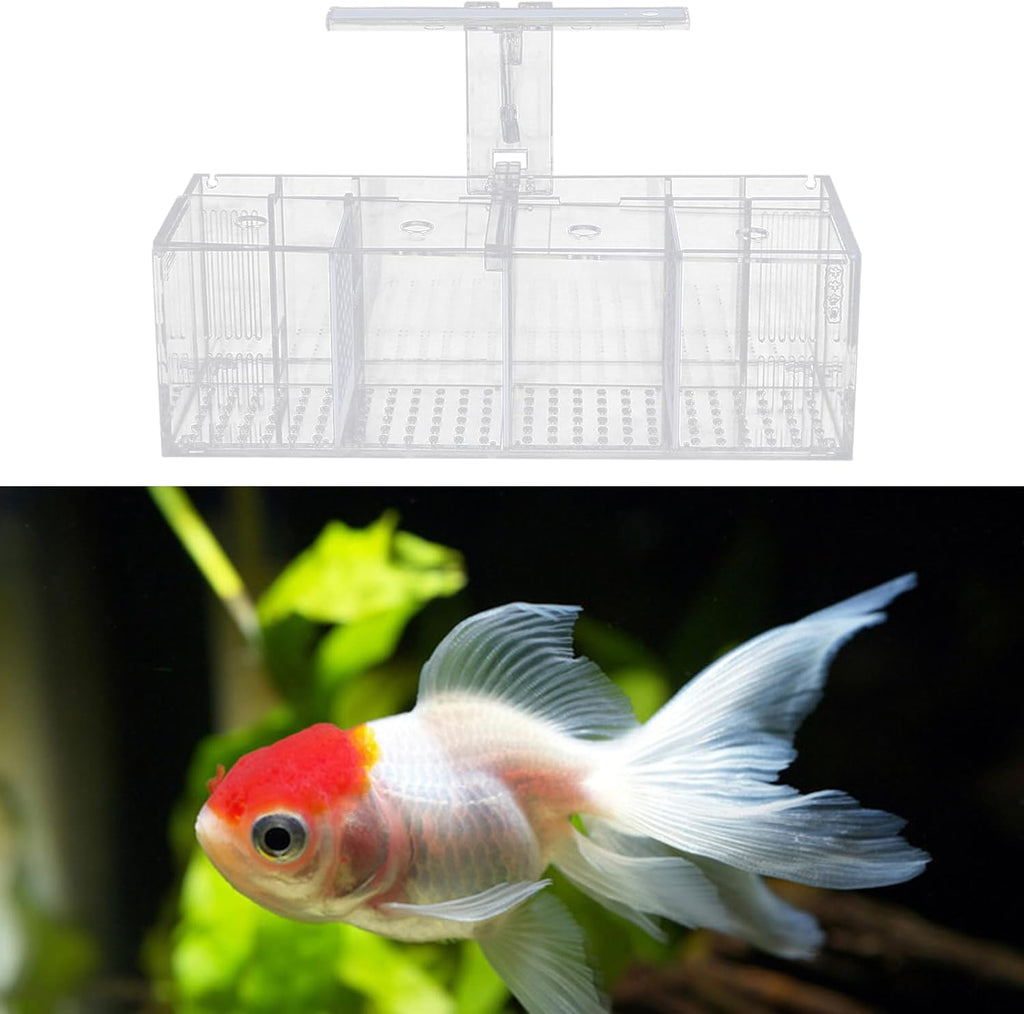 Acrylic Aquarium Transparent Fish Tank, Small Fish Tank with LED, Betta Fish Tank with 4 Grids, Dual Glass Desktop Mini DIY Aquarium, Multiple Betta Fish Tank for Table Furniture Decoration