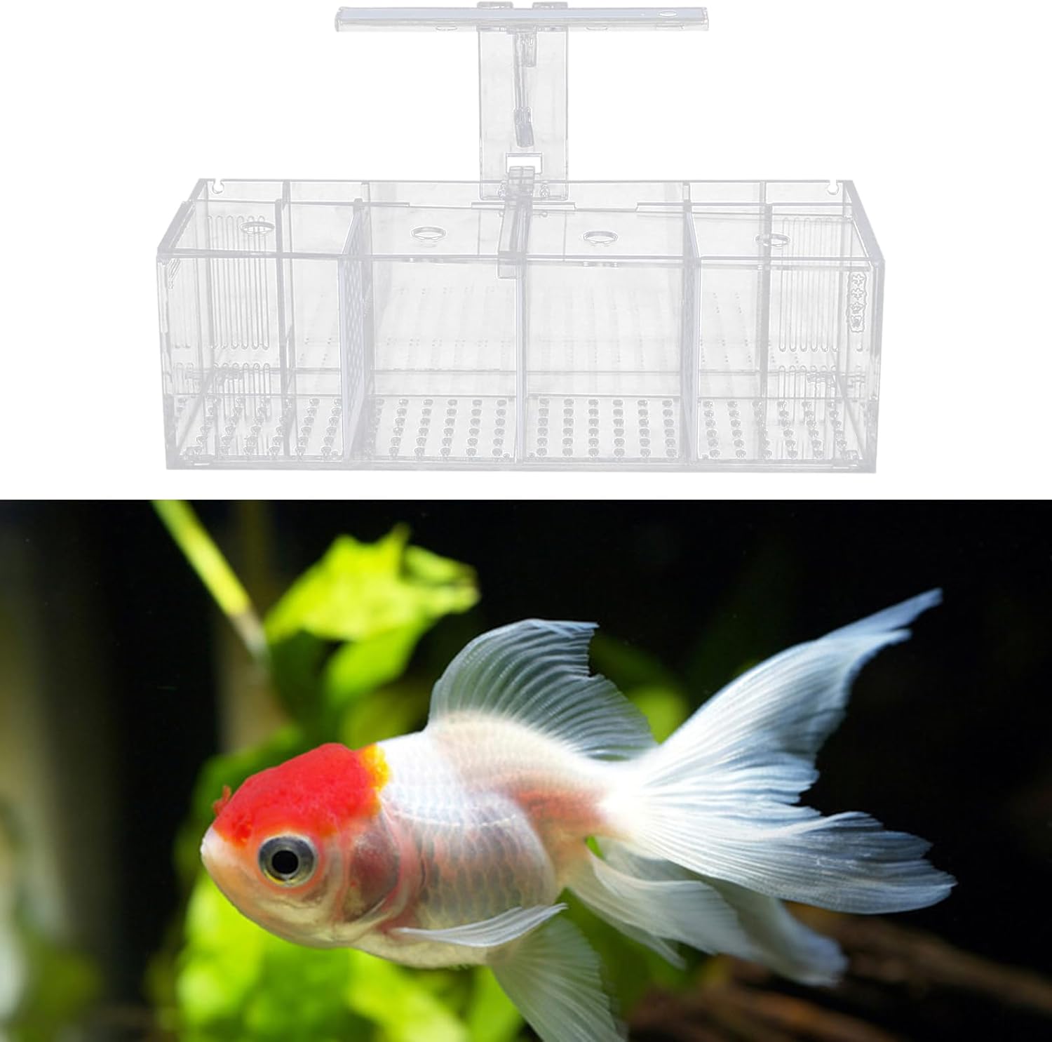 Acrylic Aquarium Transparent Fish Tank, Small Fish Tank with LED, Betta Fish Tank with 4 Grids, Dual Glass Desktop Mini DIY Aquarium, Multiple Betta Fish Tank for Table Furniture Decoration