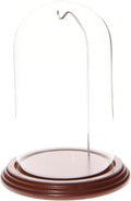 Plymor 4" x 7" Watch/Ornament Glass Display Dome