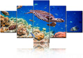 Sea Turtle Paintings Multi Panel Wall Art Underwater World Pictures Coral Reef Fish Artwork Printed on Canvas for Living Room Modern House Decor Stretched Framed Giclee Ready to Hang(60''Wx32''H)