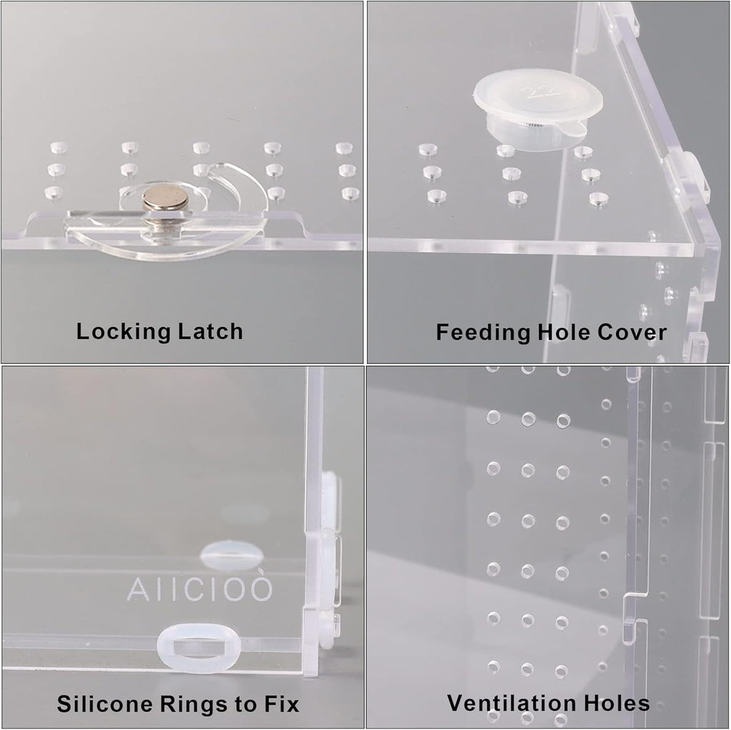 Aiicioo Micro Habitat Terrarium Enclosure 4x4x8 Inches Tarantula Enclosure Box Insect Habitat Clear Acrylic Reptile Feeding Tank for Jumping Spiders Insect Small Tree Dwelling Reptiles