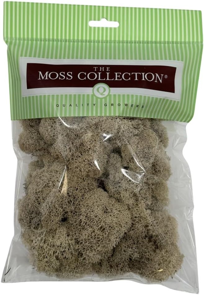 Preserved Reindeer Moss - Premium Decorative Moss for Crafts, Home Décor, Art, Design & DIY Projects - Real Moss - Non-Toxic, USA-Made (Natural, Small Size)