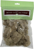 Preserved Reindeer Moss - Premium Decorative Moss for Crafts, Home Décor, Art, Design & DIY Projects - Real Moss - Non-Toxic, USA-Made (Natural, Small Size)