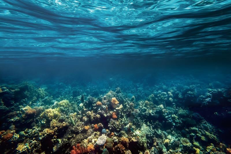 Renaiss 5x3ft Underwater World Backdrop Undersea Sunlight Seascape Photography Background Deep Blue Water Seabed Corals Aquarium Backdrop Ocean Diving Hawaiian Luau Party Banner Photo Booth Props