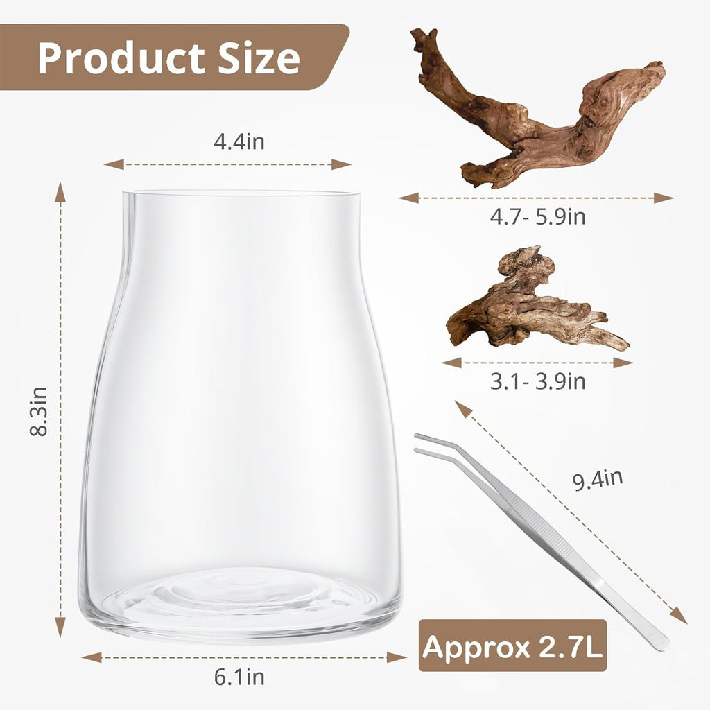 Desktop Glass Plant Terrarium with Grow Light, Plants Propagation Station for Moss,Succulent,Miniature Gardening Landscape,Betta Fish Tank,Desktop Decorations for Home and Office, Plant Lovers Gift