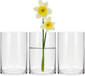 Set of 3 Cylinder Glass Vases for Centerpieces,6 Inch High Clear Flower Vase for Home Decor,Candle Holder,Wedding Favors and Floral Arrangements(4" W X 6" H)